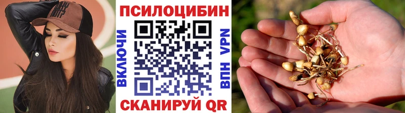 Псилоцибиновые грибы мухоморы  Александров 