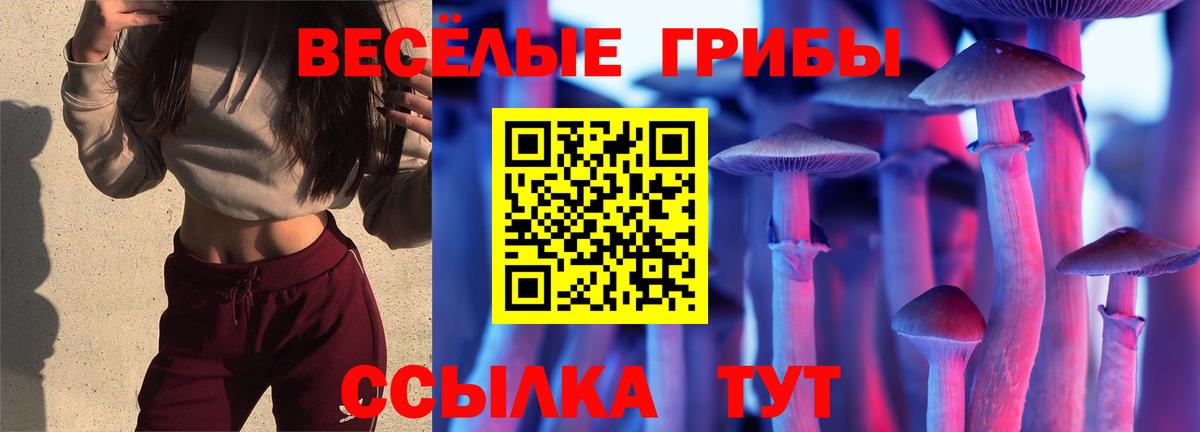 хочу   Вход с VPN  Александров  Псилоцибиновые грибы Cubensis 